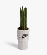Load image into Gallery viewer, SOCK PLANTER WHITE / BLACK
