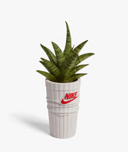Load image into Gallery viewer, SOCK PLANTER WHITE / RED
